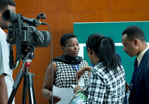 Netty Musanhu at African Union Summit 2013